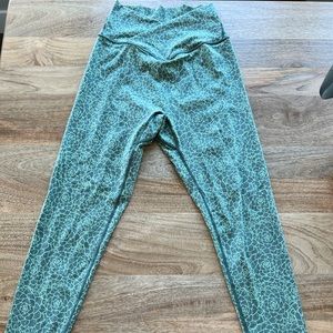 Buff bunny succulent leggings!